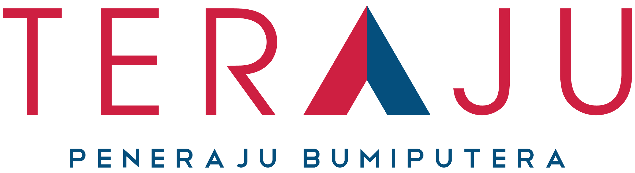 Unit Peneraju Agenda Bumiputera (TERAJU)